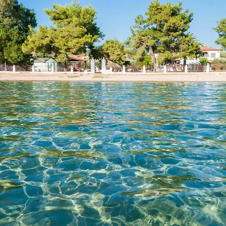 Luxury Olea Valley - Poolside Gem Daire Nikiti (Sithonia)